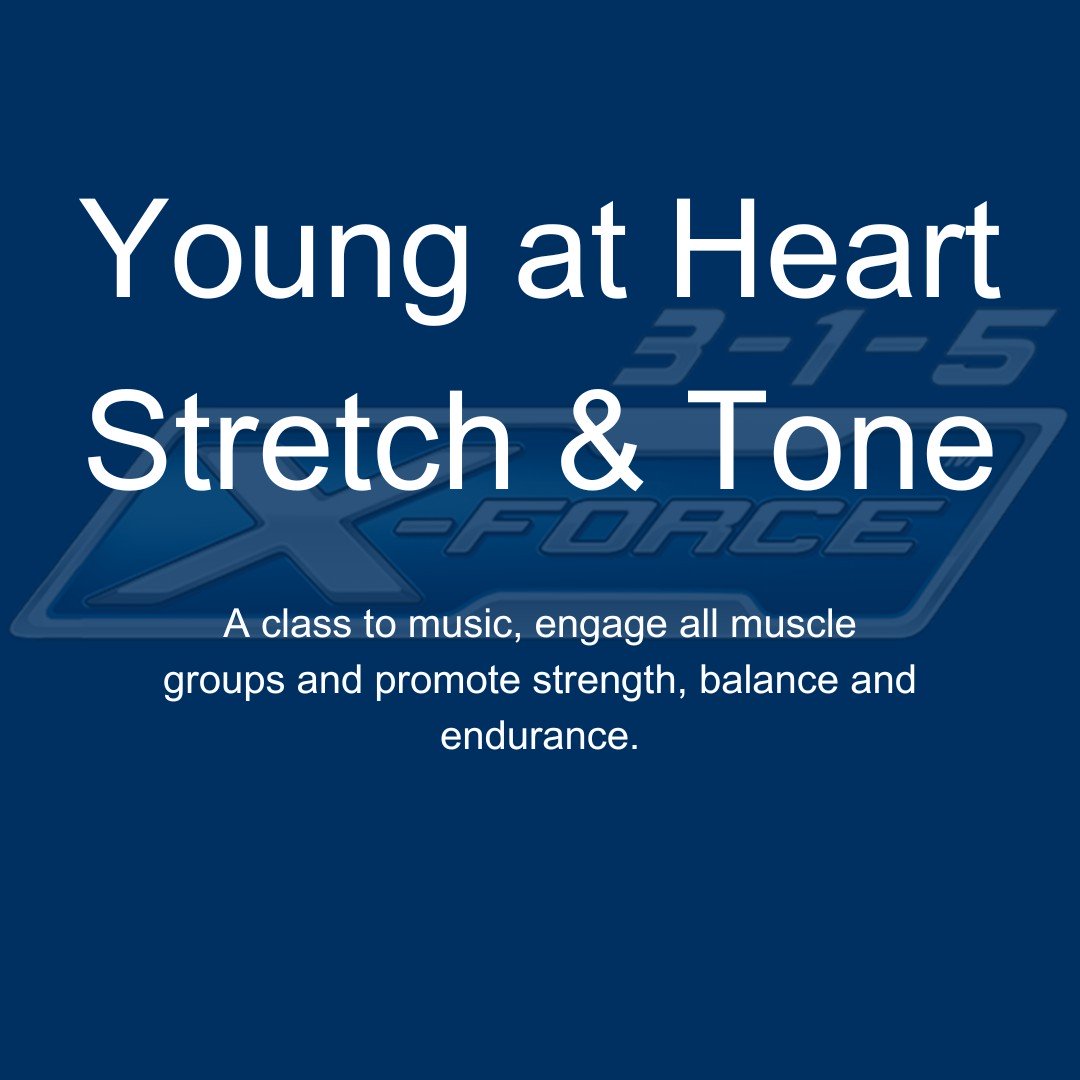 young at heart stretch and tone